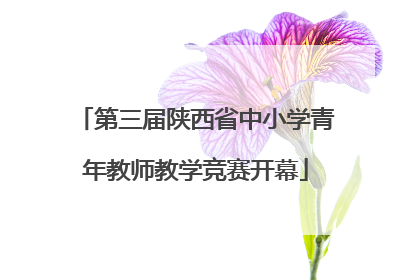 第三届陕西省中小学青年教师教学竞赛开幕