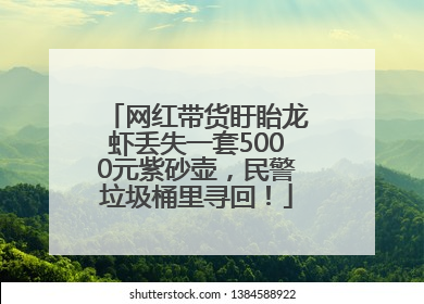 网红带货盱眙龙虾丢失一套5000元紫砂壶，民警垃圾桶里寻回！
