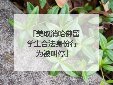 美取消哈佛留学生合法身份行为被叫停