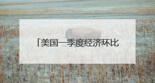 美国一季度经济环比萎缩0.2% 关税政策不确定性拖累增长