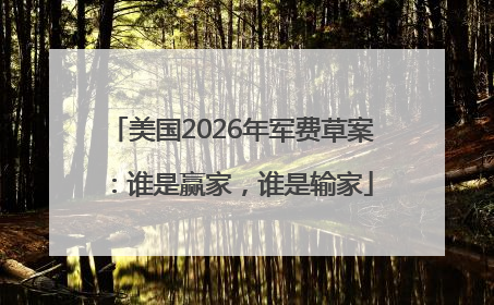 美国2026年军费草案：谁是赢家，谁是输家