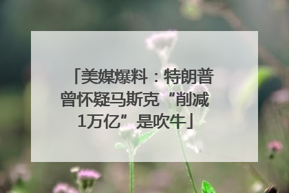 美媒爆料：特朗普曾怀疑马斯克“削减1万亿”是吹牛
