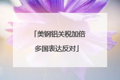 美钢铝关税加倍 多国表达反对
