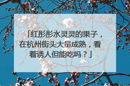 红彤彤水灵灵的果子，在杭州街头大量成熟，看着诱人但能吃吗？