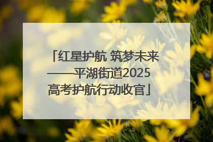 红星护航 筑梦未来——平湖街道2025高考护航行动收官