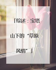 综述：宝塔山下的“草原风情”