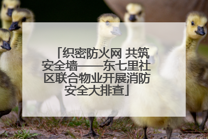 织密防火网 共筑安全墙——东七里社区联合物业开展消防安全大排查