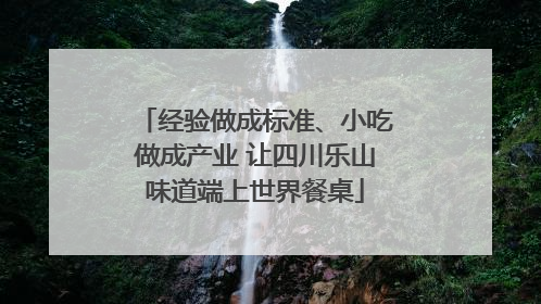 经验做成标准、小吃做成产业 让四川乐山味道端上世界餐桌