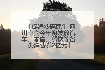 促消费惠民生 四川宜宾今年将发放汽车、零售、餐饮等各类消费券2亿元