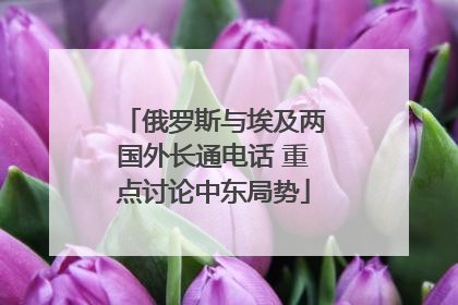 俄罗斯与埃及两国外长通电话 重点讨论中东局势