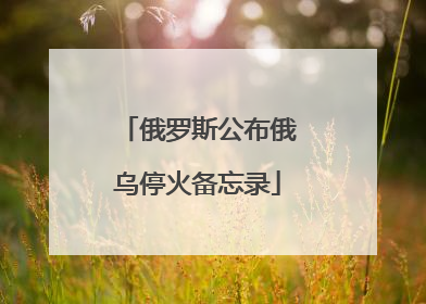 俄罗斯公布俄乌停火备忘录