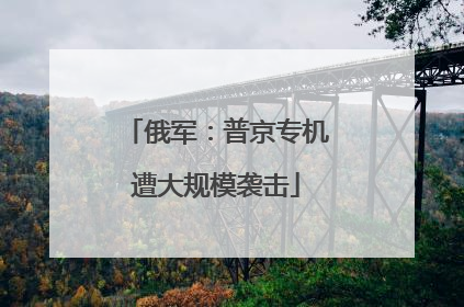 俄军：普京专机遭大规模袭击