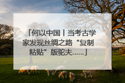 何以中国丨当考古学家发现丝绸之路“复制粘贴”版驼夫……