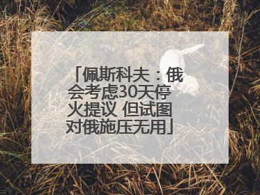 佩斯科夫：俄会考虑30天停火提议 但试图对俄施压无用