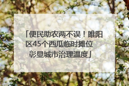 便民助农两不误！睢阳区45个西瓜临时摊位 彰显城市治理温度