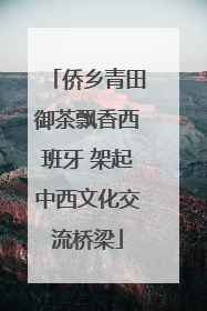 侨乡青田御茶飘香西班牙 架起中西文化交流桥梁