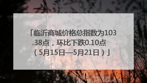 临沂商城价格总指数为103.38点，环比下跌0.10点（5月15日—5月21日）
