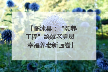 临沭县：“颐养工程”绘就老党员幸福养老新画卷