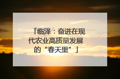 临泽：奋进在现代农业高质量发展的“春天里”