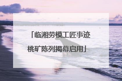 临湘劳模工匠事迹桃矿陈列揭幕启用