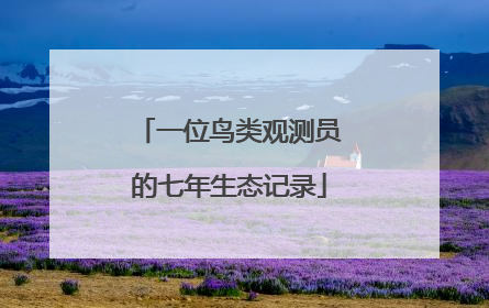 一位鸟类观测员的七年生态记录
