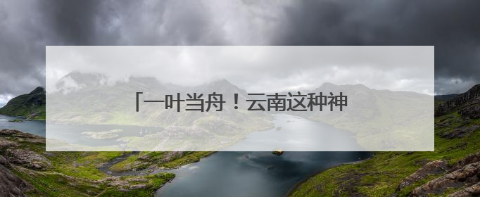 一叶当舟！云南这种神奇植物进入最佳观赏期