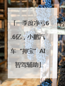 一季度净亏6.6亿，小鹏汽车“押宝”AI智驾辅助