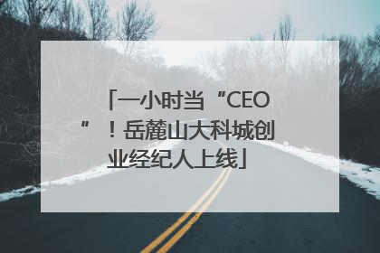 一小时当“CEO”！岳麓山大科城创业经纪人上线