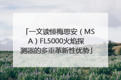 一文读懂梅思安（MSA）FL5000火焰探测器的多重革新性优势