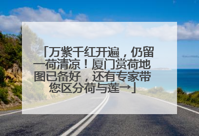 万紫千红开遍，仍留一荷清凉！厦门赏荷地图已备好，还有专家带您区分荷与莲→