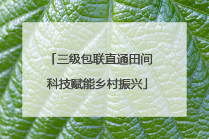 三级包联直通田间 科技赋能乡村振兴