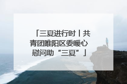 三夏进行时丨共青团睢阳区委暖心慰问助“三夏”