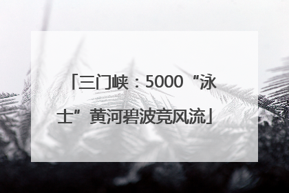 三门峡：5000“泳士”黄河碧波竞风流