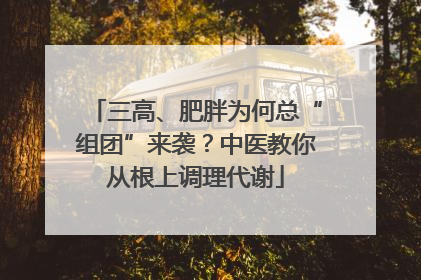 三高、肥胖为何总“组团”来袭？中医教你从根上调理代谢