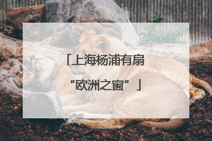 上海杨浦有扇“欧洲之窗”