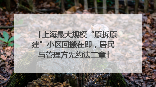 上海最大规模“原拆原建”小区回搬在即，居民与管理方先约法三章