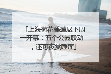 上海荷花睡莲展下周一开幕：五个公园联动，还可夜赏睡莲