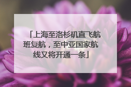 上海至洛杉矶直飞航班复航，至中亚国家航线又将开通一条