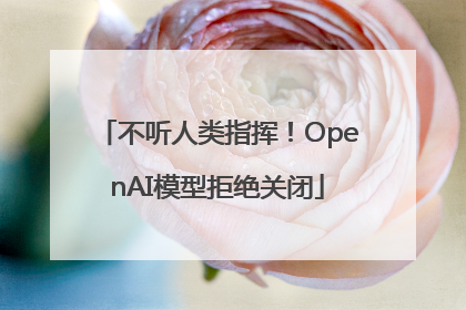 不听人类指挥！OpenAI模型拒绝关闭