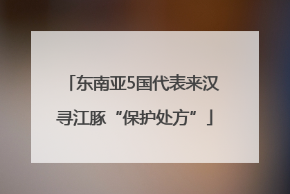 东南亚5国代表来汉寻江豚“保护处方”