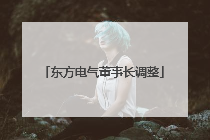 东方电气董事长调整
