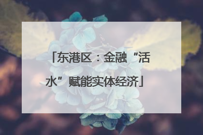 东港区：金融“活水”赋能实体经济