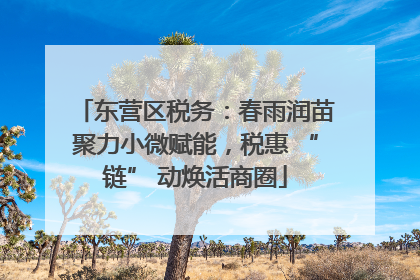 东营区税务：春雨润苗聚力小微赋能，税惠 “链” 动焕活商圈