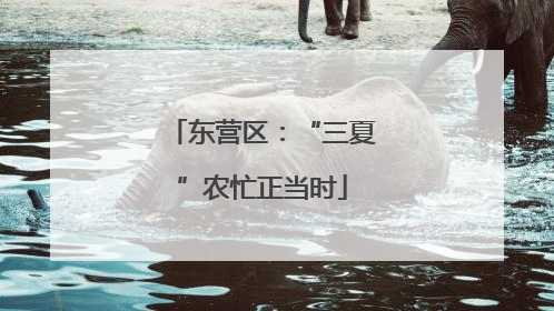 东营区：“三夏”农忙正当时