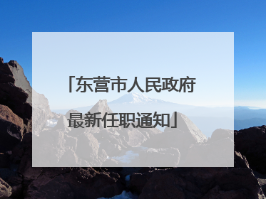 东营市人民政府最新任职通知