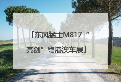 东风猛士M817“亮剑”粤港澳车展