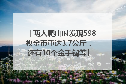 两人爬山时发现598枚金币重达3.7公斤，还有10个金手镯等