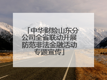 中华财险山东分公司全省联动开展防范非法金融活动专题宣传