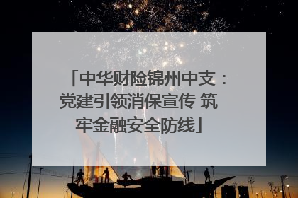 中华财险锦州中支：党建引领消保宣传 筑牢金融安全防线