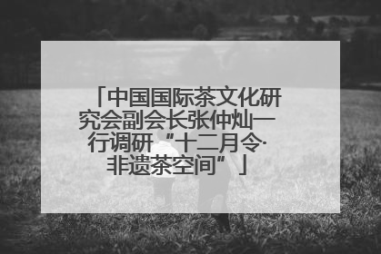 中国国际茶文化研究会副会长张仲灿一行调研“十二月令·非遗茶空间”